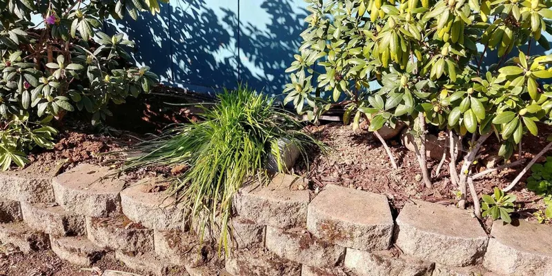 Finished garden bed after an underground line repair