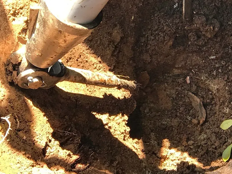 New ABS sewer pipe set in an open trench