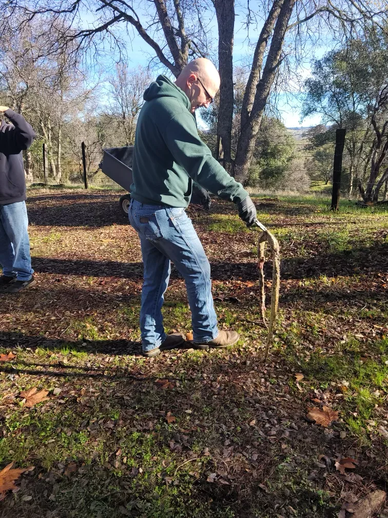 Technician removing a snake from a drain line, held at arm's length